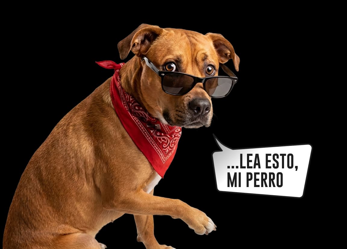 Max, con pañoleta roja, dice: lea esto, mi perro.