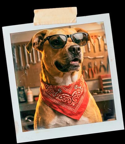 Max, el perro del taller, con gafas y pañoleta roja