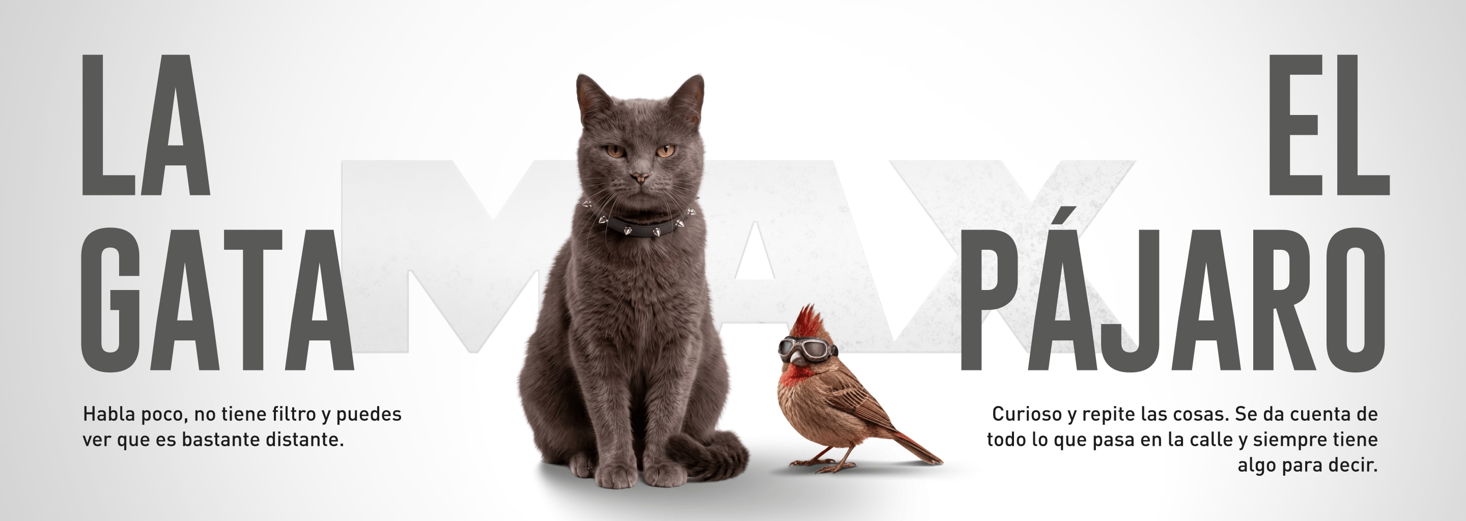 La gata y el pájaro, amigos de Max. La gata habla poco, no tiene filtro y es distante. El pájaro es curioso, repite lo que pasa en la calle y siempre tiene algo para decir.