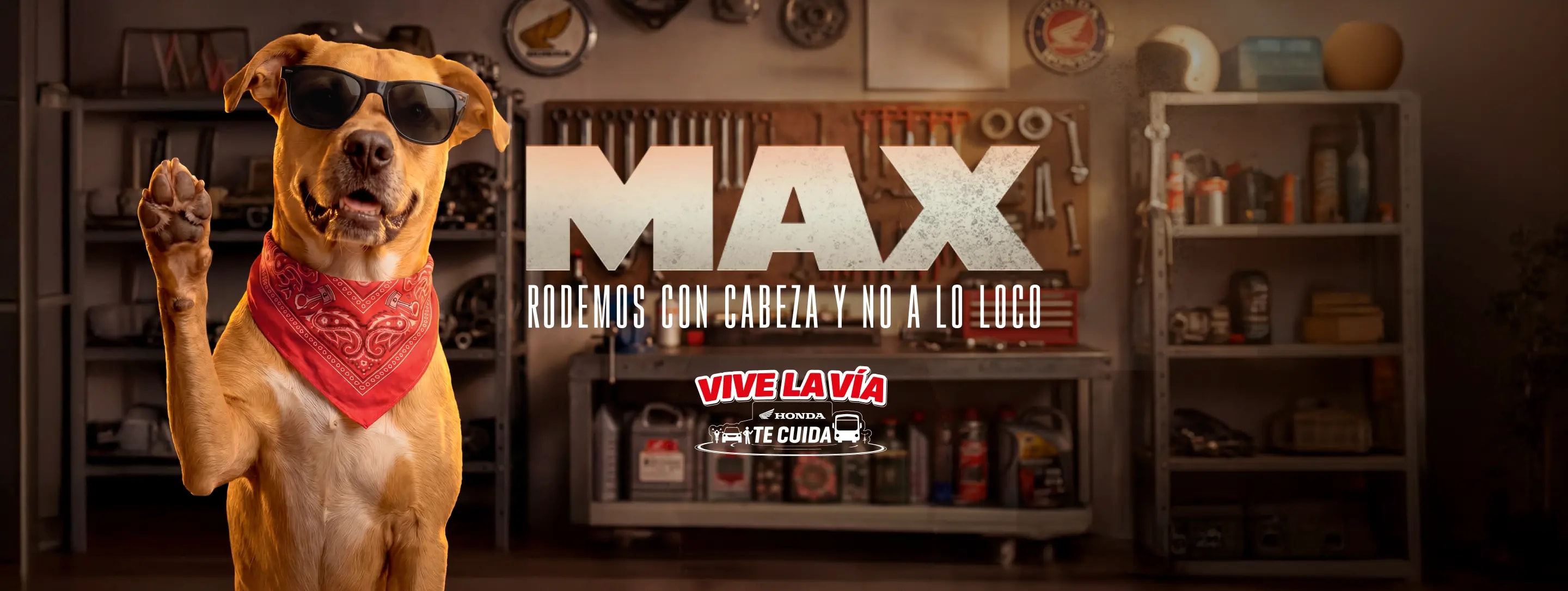 banner-max