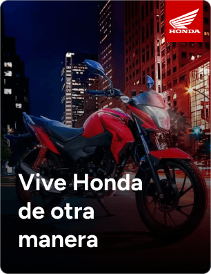 Magazine septiembre a diciembre 2025