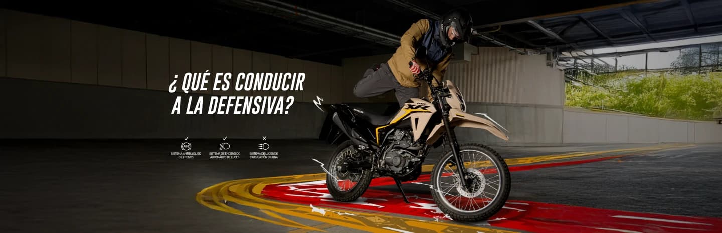 Seguridad vial