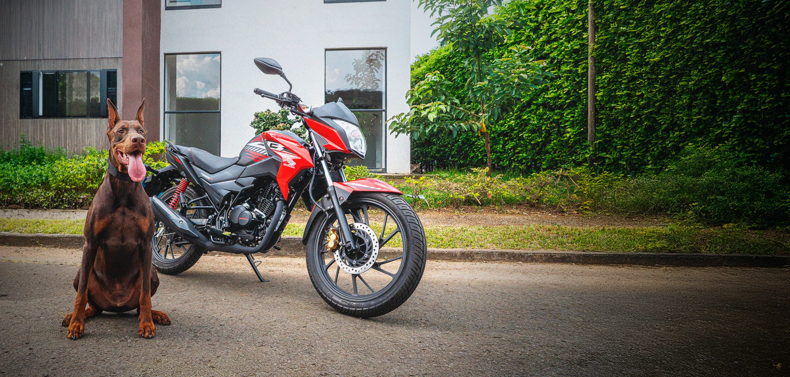 CB 125F STD 2027