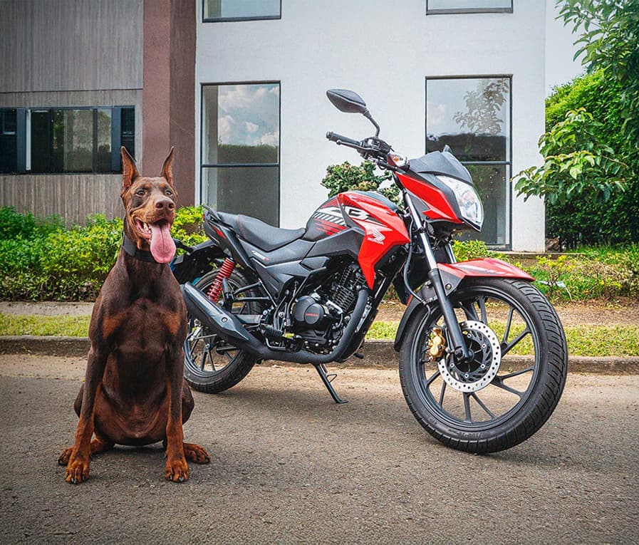 CB 125F STD 2027