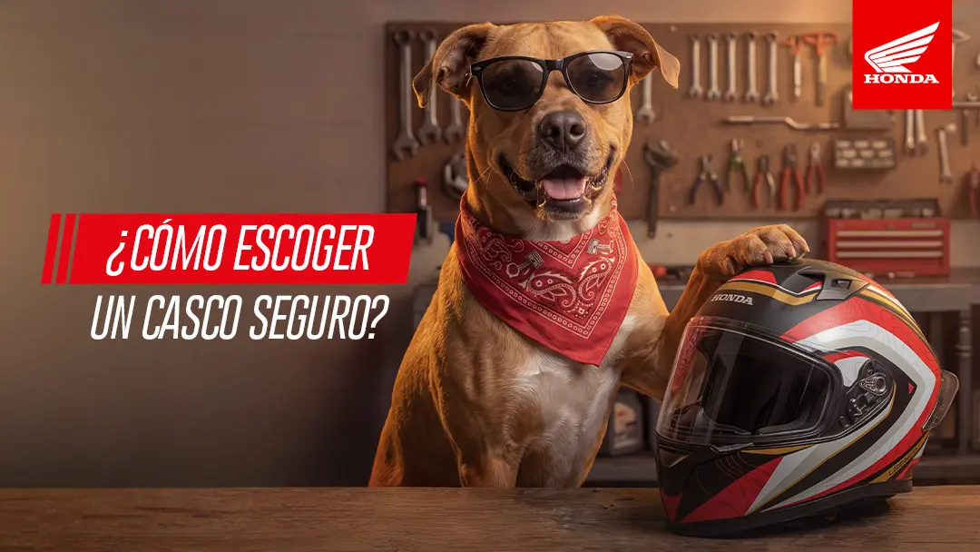8 Aspectos para escoger un casco seguro
