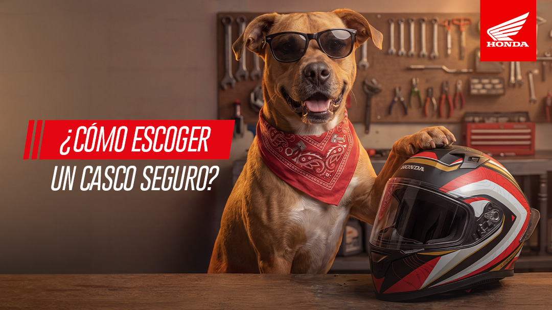 Cómo escoger un casco para moto 