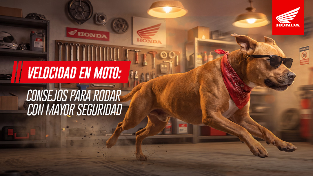 Control de velocidad en la vía 